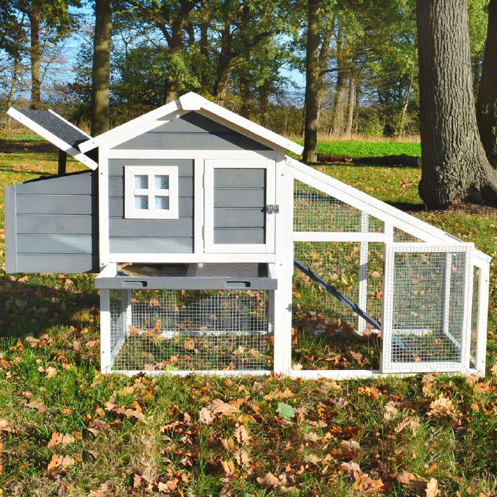 zooprinz Hühnerstall Dottie L